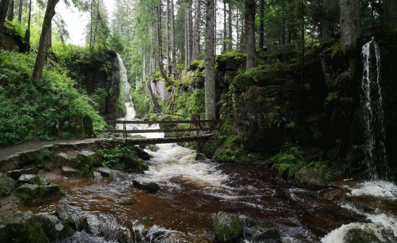 סאן בלאסיין C3 Albmatte-Fewo Sauna, Hallenbad Aussenbecken Massagen Nebenan מראה חיצוני תמונה