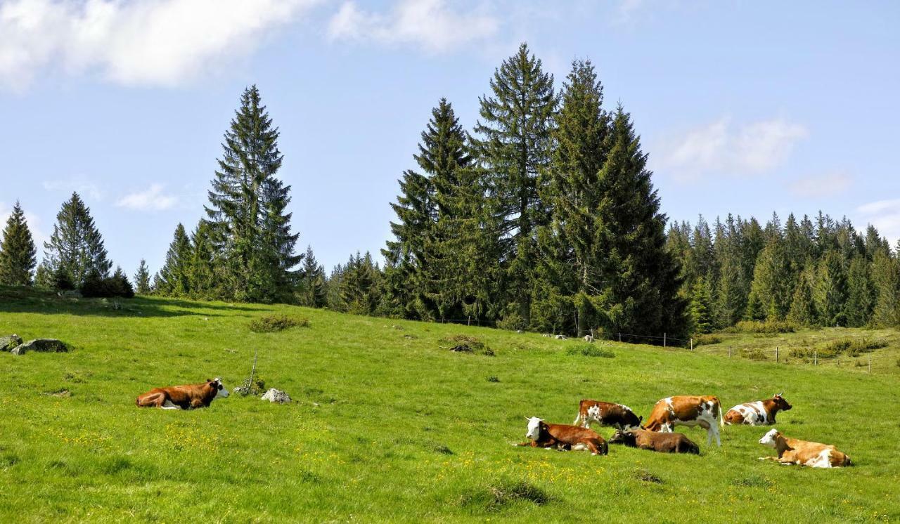 סאן בלאסיין C3 Albmatte-Fewo Sauna, Hallenbad Aussenbecken Massagen Nebenan מראה חיצוני תמונה