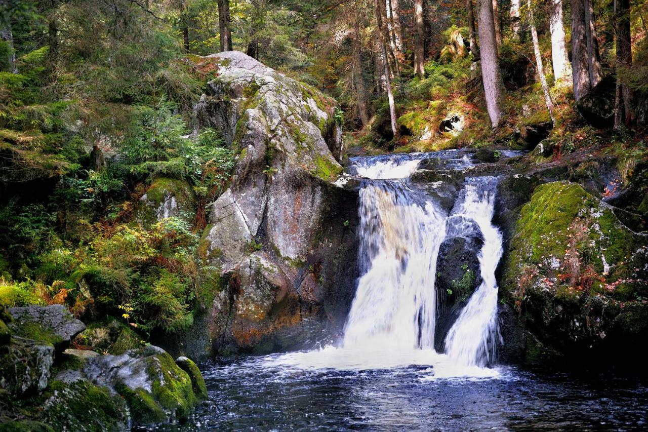 סאן בלאסיין C3 Albmatte-Fewo Sauna, Hallenbad Aussenbecken Massagen Nebenan מראה חיצוני תמונה