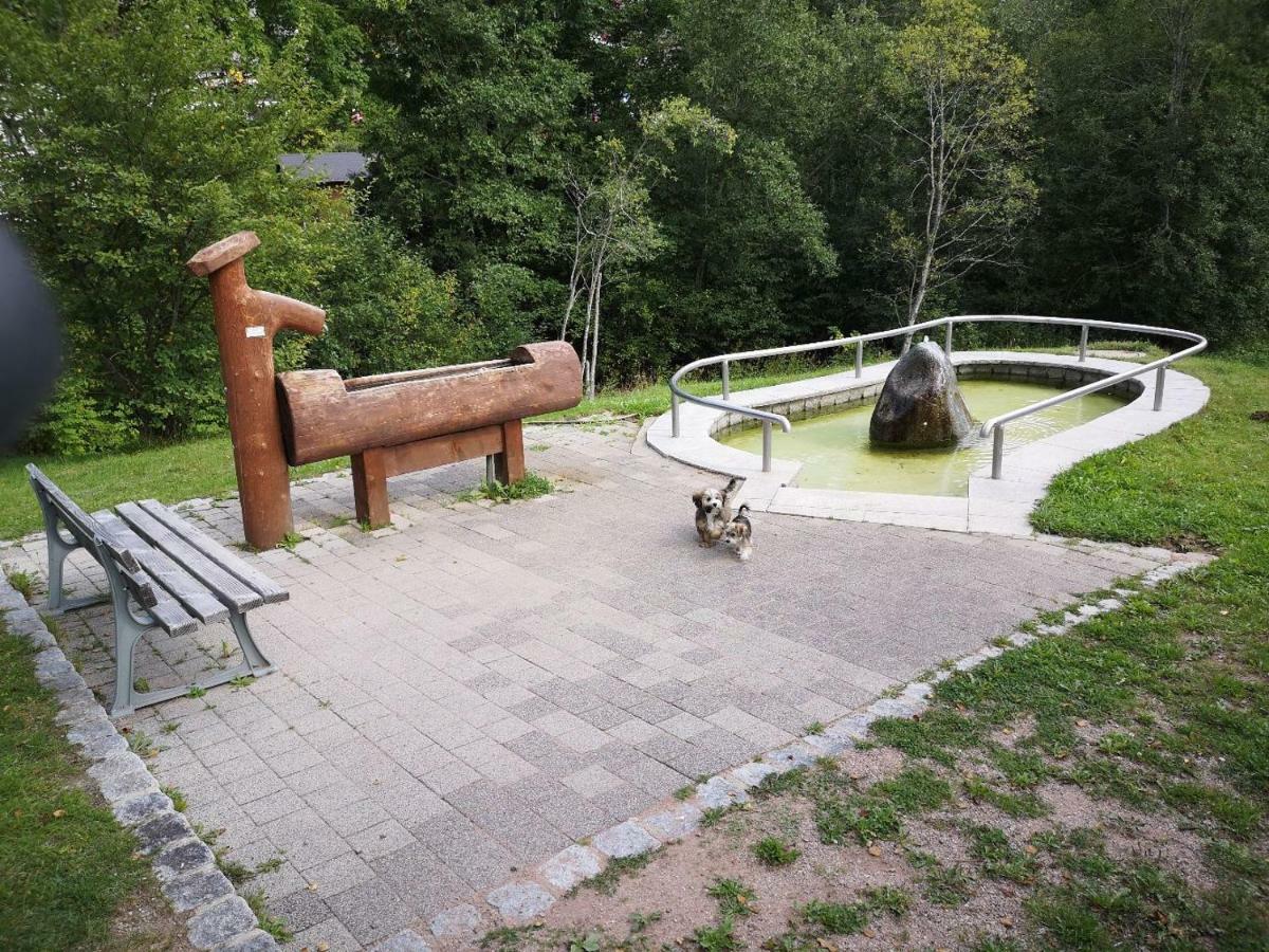 סאן בלאסיין C3 Albmatte-Fewo Sauna, Hallenbad Aussenbecken Massagen Nebenan מראה חיצוני תמונה