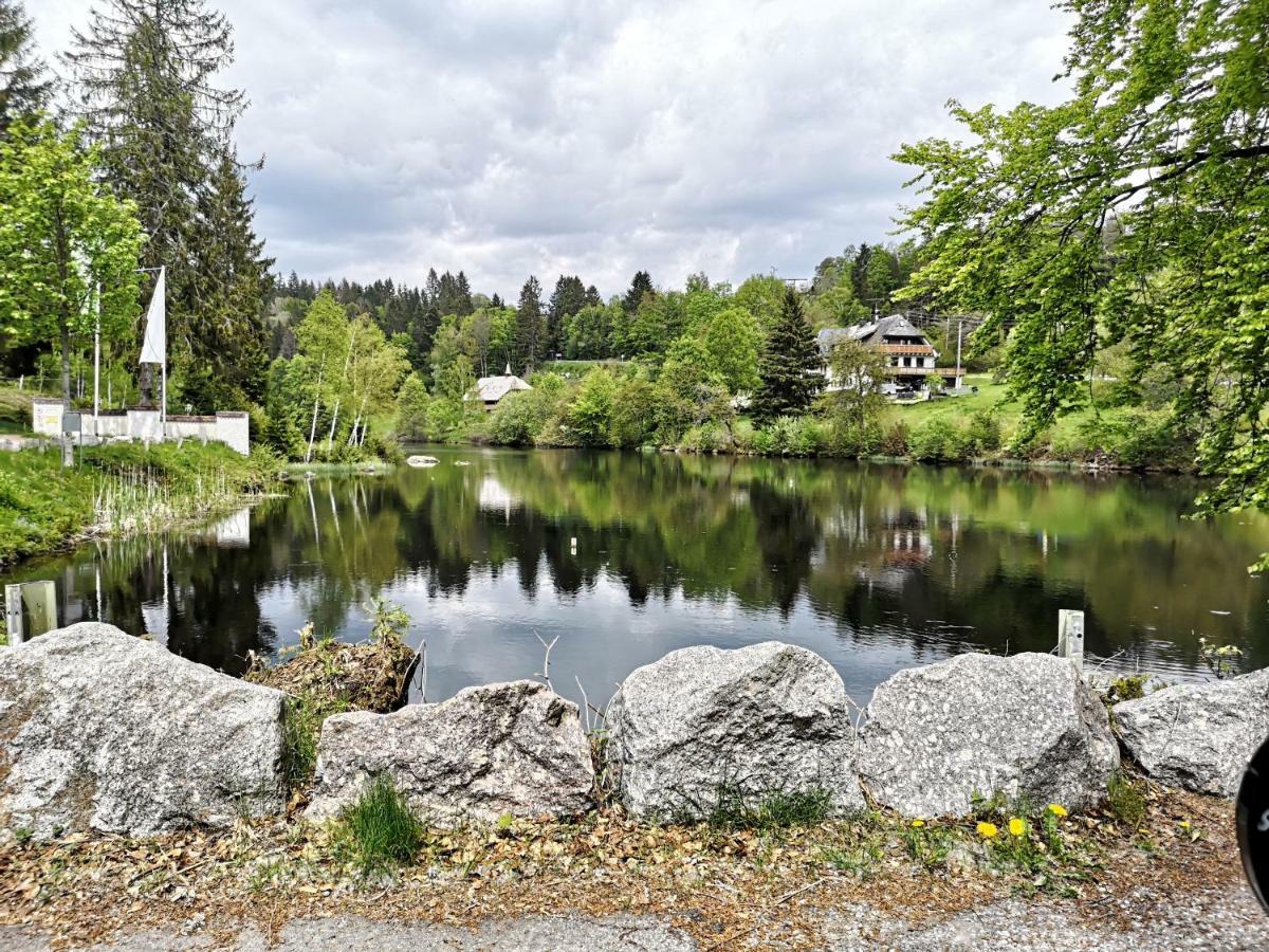 סאן בלאסיין C3 Albmatte-Fewo Sauna, Hallenbad Aussenbecken Massagen Nebenan מראה חיצוני תמונה